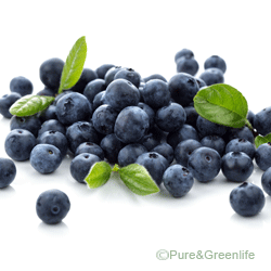 Blueberry Leaf Powder